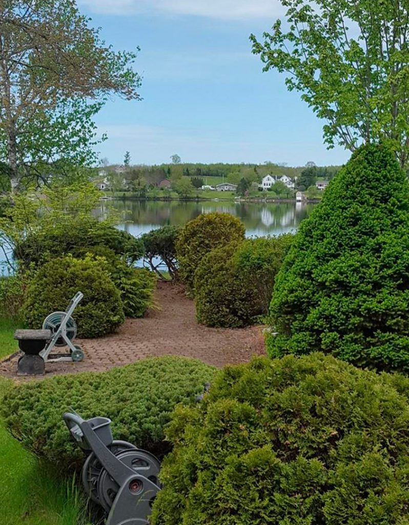 Garden at the lakehouse location.